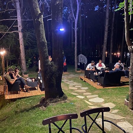 Hotel Gloria Ks Пристина Екстериор снимка