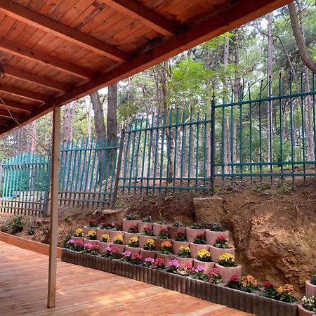 Hotel Gloria Ks Пристина Екстериор снимка